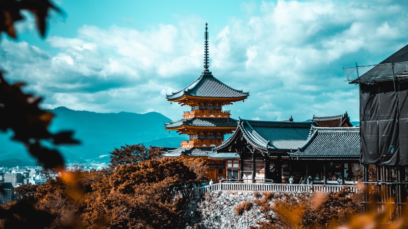 比叡山と菊の御紋の意味とは？寺紋との違いや由来をやさしく解説