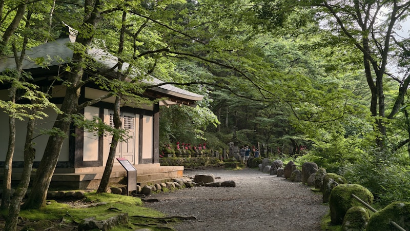 日光の二荒山神社をやさしく満喫｜見どころ・ご利益・アクセスまでわかる完全ガイド