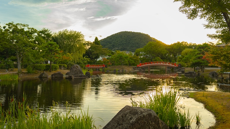 福井の博物館で人気スポットを満喫｜大人ひとり旅にもおすすめの見どころガイド