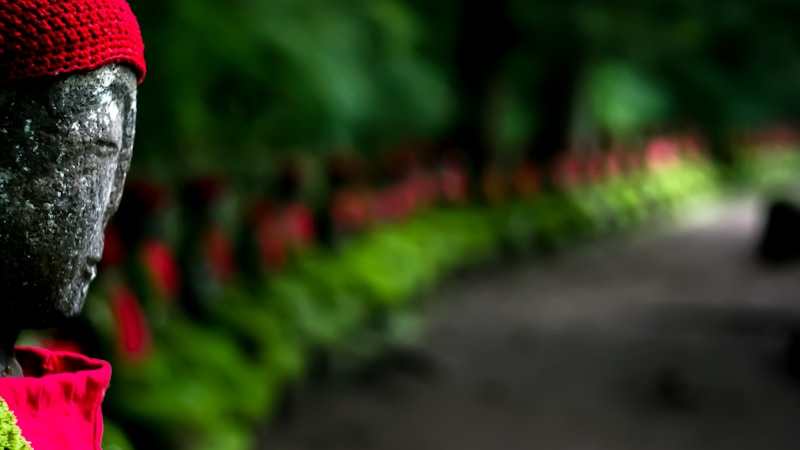 日光の二荒山神社をやさしく満喫｜見どころ・ご利益・アクセスまでわかる完全ガイド