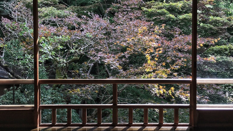 有馬温泉で泊まりたいおすすめ旅館特集｜女子旅・記念日にも選びやすい人気宿をやさしく紹介