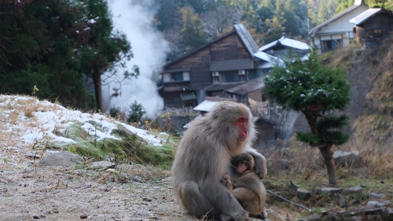 有馬温泉で叶えるカップル旅行ガイド|ふたりで楽しむ宿・食べ歩き・過ごし方をやさしく紹介
