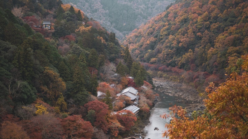 有馬温泉の紅葉スポットを満喫|見頃・散策コース・日帰りで楽しむ秋の過ごし方
